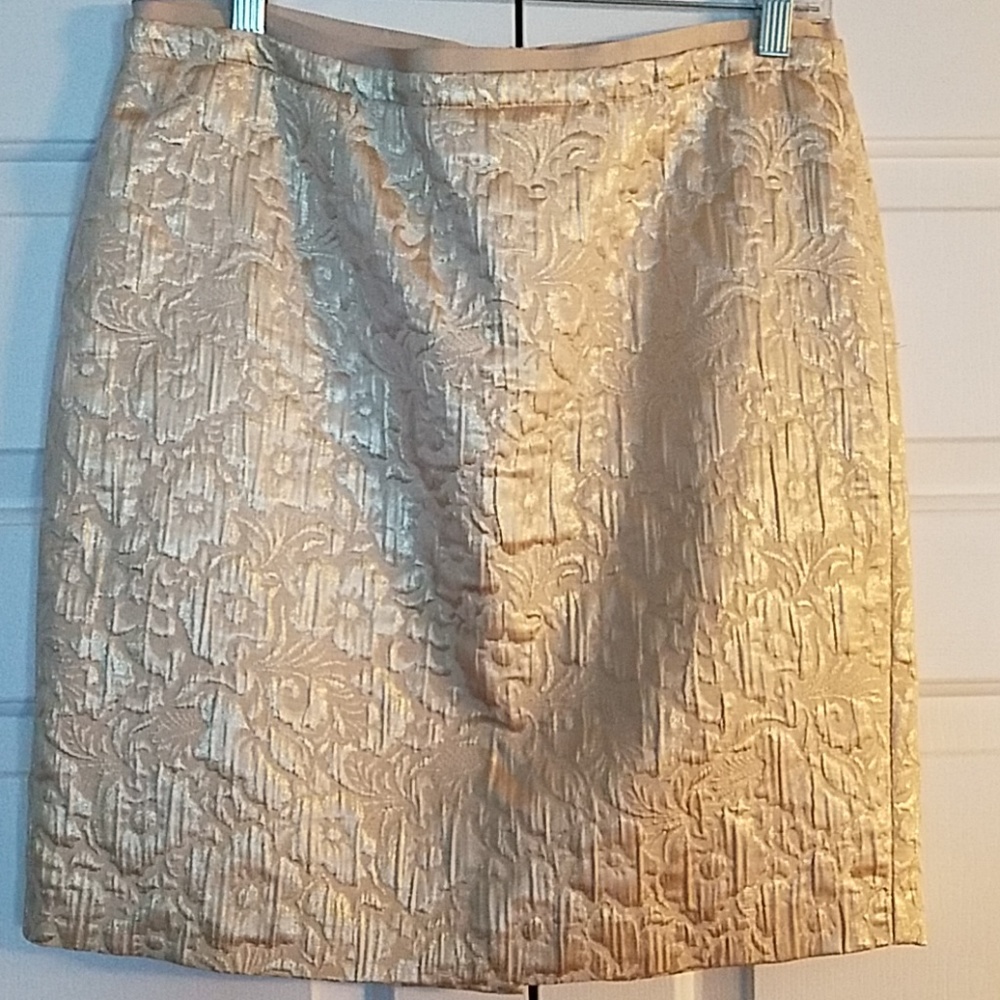 Ann Taylor Skirt
